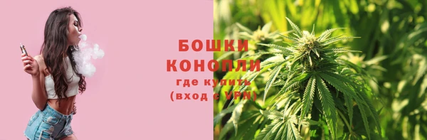 дурь Алексеевка